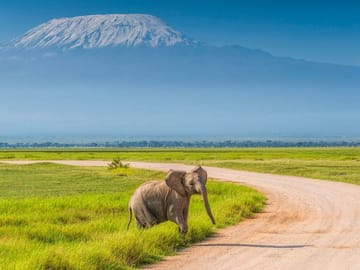 DAY TOUR TO AMBOSELI NATIONAL PARK WITHOUT PARK FEES