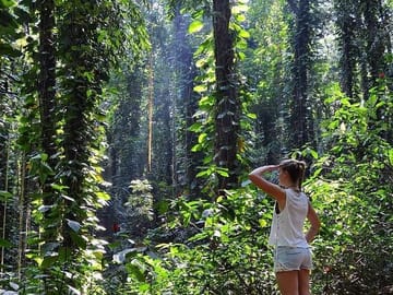 Private Bird watching and Nature trekking in Udawatta Kele Sanctuary