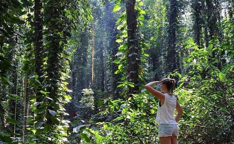 Private Bird watching and Nature trekking in Udawatta Kele Sanctuary