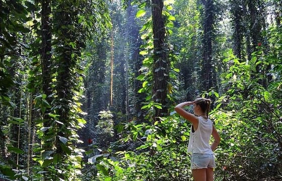 Private Bird watching and Nature trekking in Udawatta Kele Sanctuary