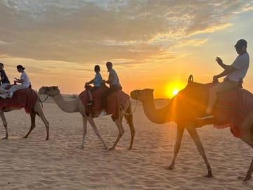 Desert Safari Dune Bashing Camel Ride Sandboard BBQ Dinner