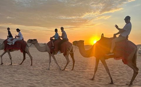 Lahbab Desert Safari with Dune Bashing, Camel Ride and BBQ Dinner