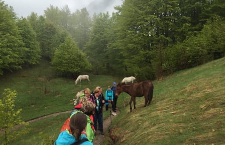 5 Days Hiking Tour to the north of Albania