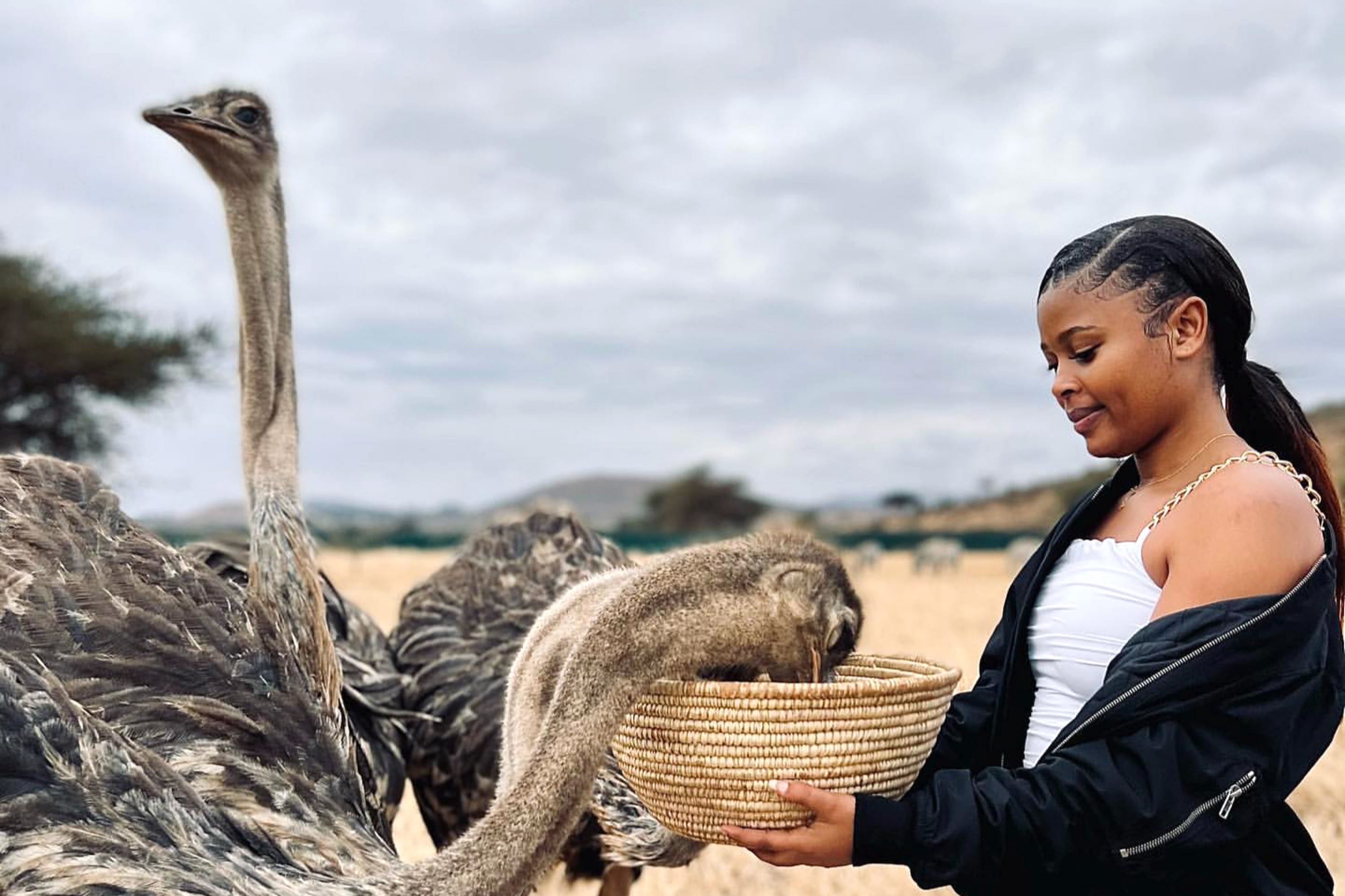 A guest sharing a close interaction with an ostrich in a private sanctuary.