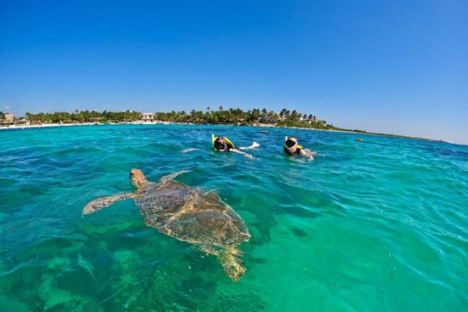 Santuario de tortugas Akumal Snorkel Experiencia marina