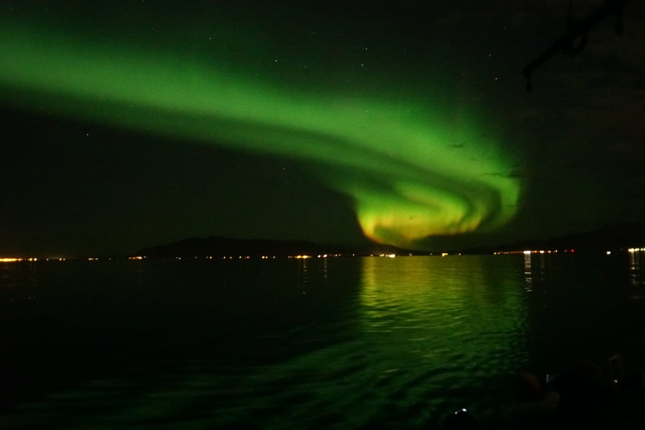 Green Aurora Borealis lights dancing above the coastline during a Northern Lights boat tour from Reykjavík, Iceland.