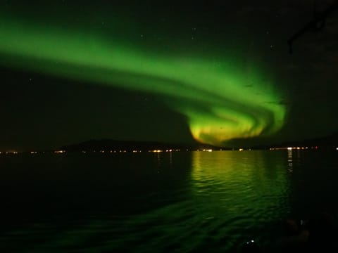 Green Aurora Borealis lights dancing above the coastline during a Northern Lights boat tour from Reykjavík, Iceland.