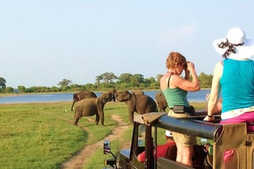 5 Day Wildlife and Gorilla Safari in Africa