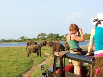 5-Day Gorilla Trekking and Wildlife Tour in Entebbe, Uganda