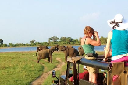5 Day Wildlife and Gorilla Safari in Africa