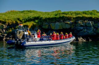 Reykjavík Premium Puffin Tour