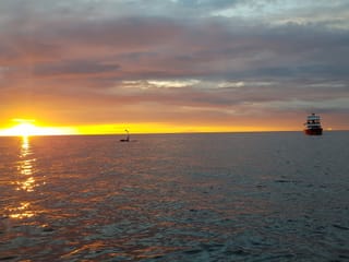 Premium Whales & Midnight Sun, photo 9