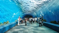 Underwater World Pattaya Ticket 3