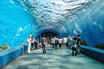 Underwater World Pattaya Ticket