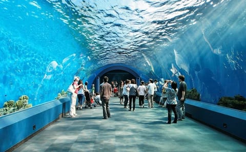 Underwater World Pattaya Admission Ticket for Marine Exploration