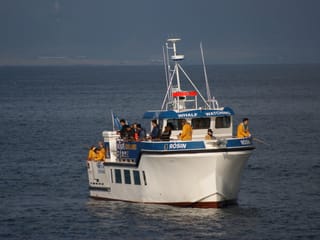 Sea Angling, photo 12