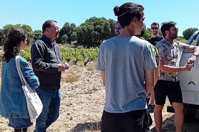 Discover Madrid’s Hidden DO: Exclusive Winery Tour & Tasting