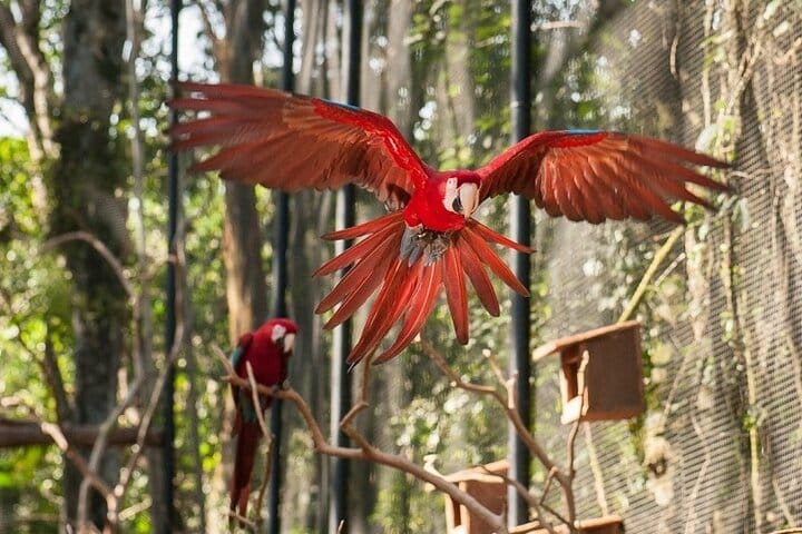 Bird Park
