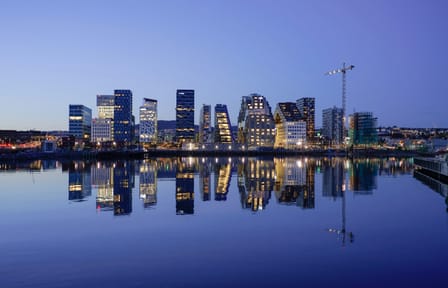 Private Walking Tour of Oslo's Landmarks and Hidden Gems