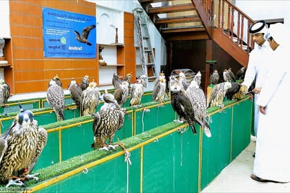 Explore Doha on a Stopover – Half-Day City Tour/Pickup & Drop-off