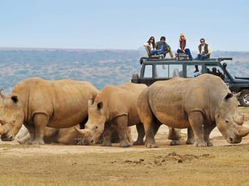 10-Day Adventure Safari in Uganda from Kampala