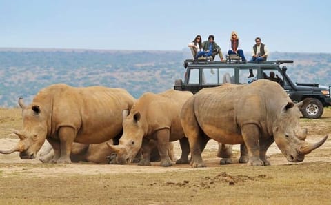 10-Day Adventure Safari in Uganda from Kampala