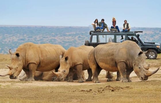 10-Day African Safari in Uganda from Kampala