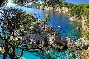 Private Full - Day Tour: Speedboat Tour