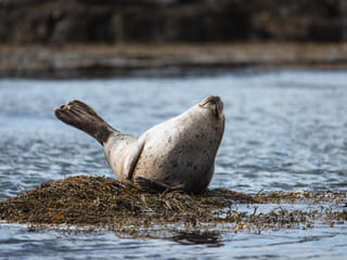 Solar Eclipse Adventure | Snæfellsnes Peninsula | Private Tour | Photo Package Included, photo 9