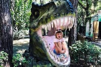 Kemer Dinopark Tour with hotel transfer  9