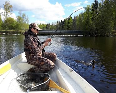 Opastettua koskialastusta Kuusaalla Laukaa
