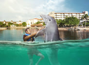 Dreams Puerto Aventuras: Dolphin Royal Swim  6