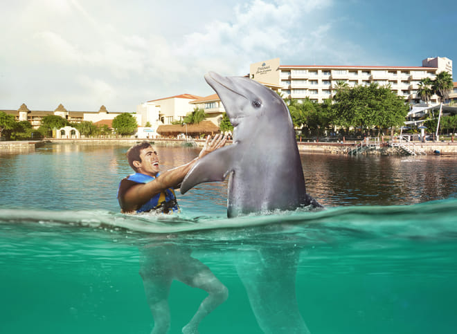 Dolphin Swim Adventure en Dreams Puerto Aventuras photo 6
