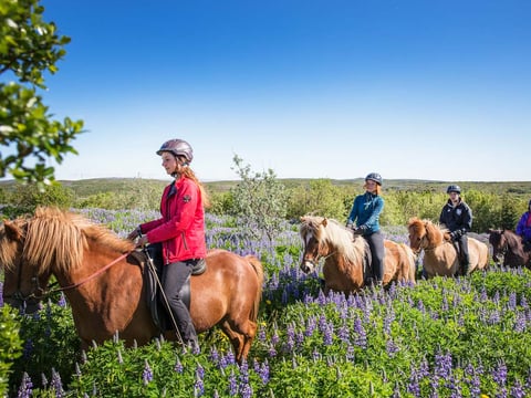 Private Horseback Riding Tour