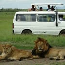 3-Day Maasai Mara Camping Safari 3