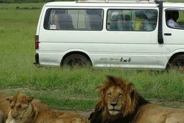 3-Day Camping Safari in Maasai Mara National Reserve, Kenya