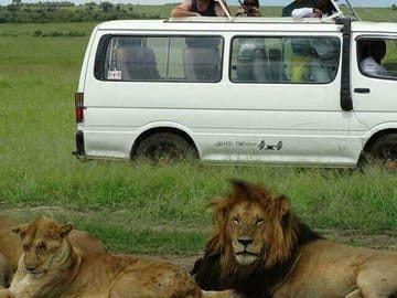 12Days Best of Kenya and Tanzania Wildlife Safari