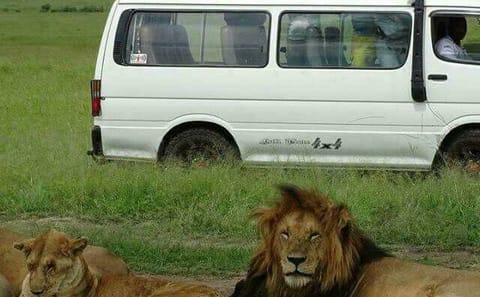 3-Day Camping Safari in Maasai Mara National Reserve, Kenya