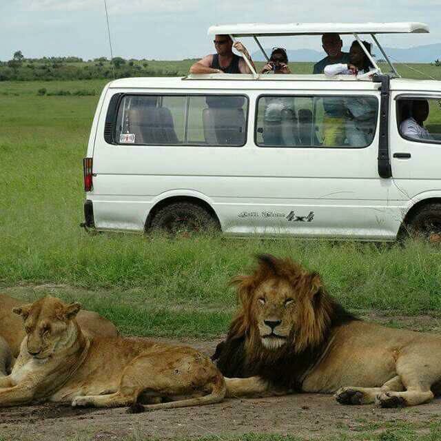 3-Day Maasai Mara Camping Safari photo 3