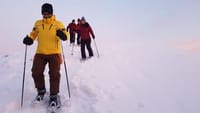 Discover Secrets of Lappish Nature – Snowshoe Experience 4
