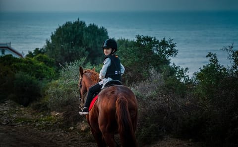 Tangier Mountain and Sea Horseback Riding Adventure