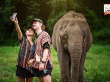 Chiang Mai: Volunteer program