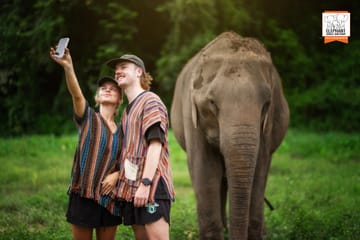 Chiang Mai Elephant Jungle Sanctuary Ethical Wildlife Tour