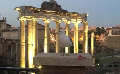 Private Night Bike Tour of Rome with Views of the Forum