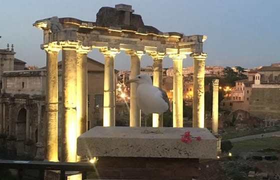 VIP Rome by Night Bike Tour with Panoramic Views | Private