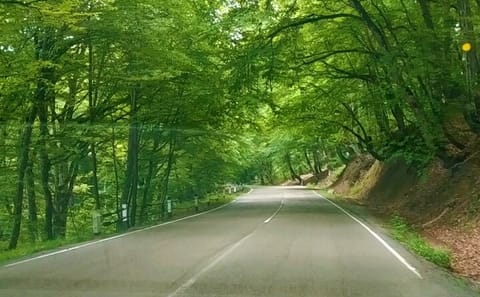 Three-Day Jeep Tour of Tusheti: Explore Alaverdi, Dartlo, and Diklo