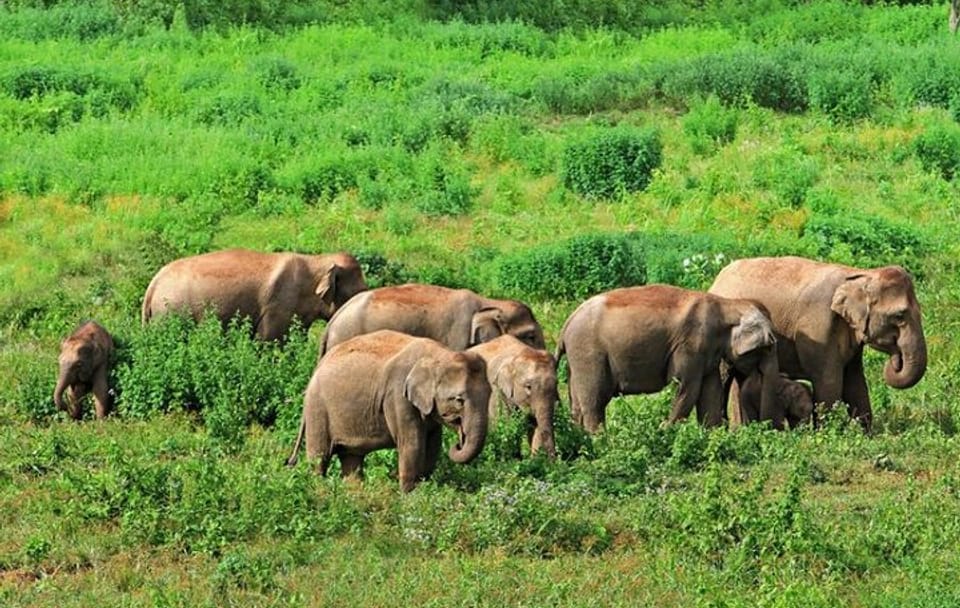 All Inclusive Saranda Forest 4 Days Tour From Bhubaneswar