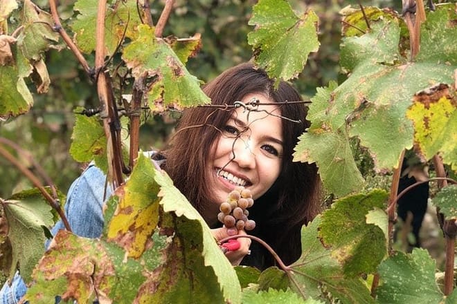 Wine Making Experience in Kakheti (unlimited wine including)  2