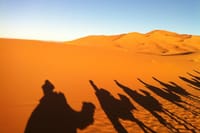 Best Of Morocco 9 Days 6
