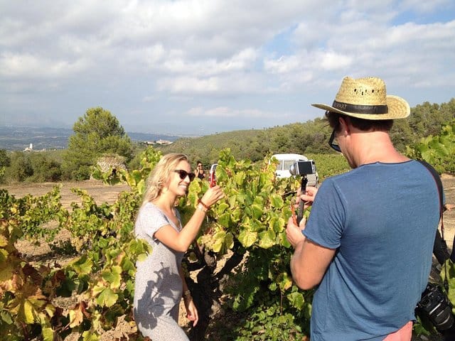 Montserrat & Penedes Winery Private Day Trip with Cava Tasting 7